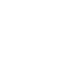 Megatron